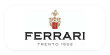 ferrari-tn