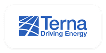 terna